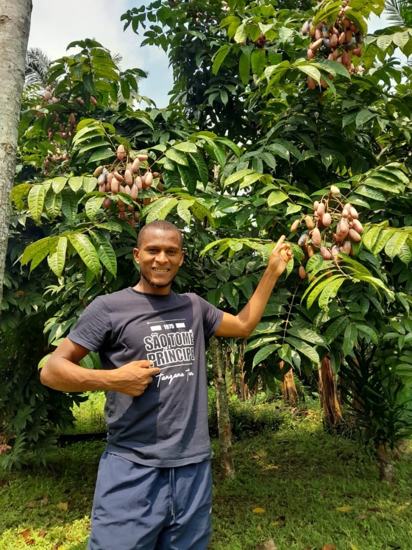 centro de sao tome